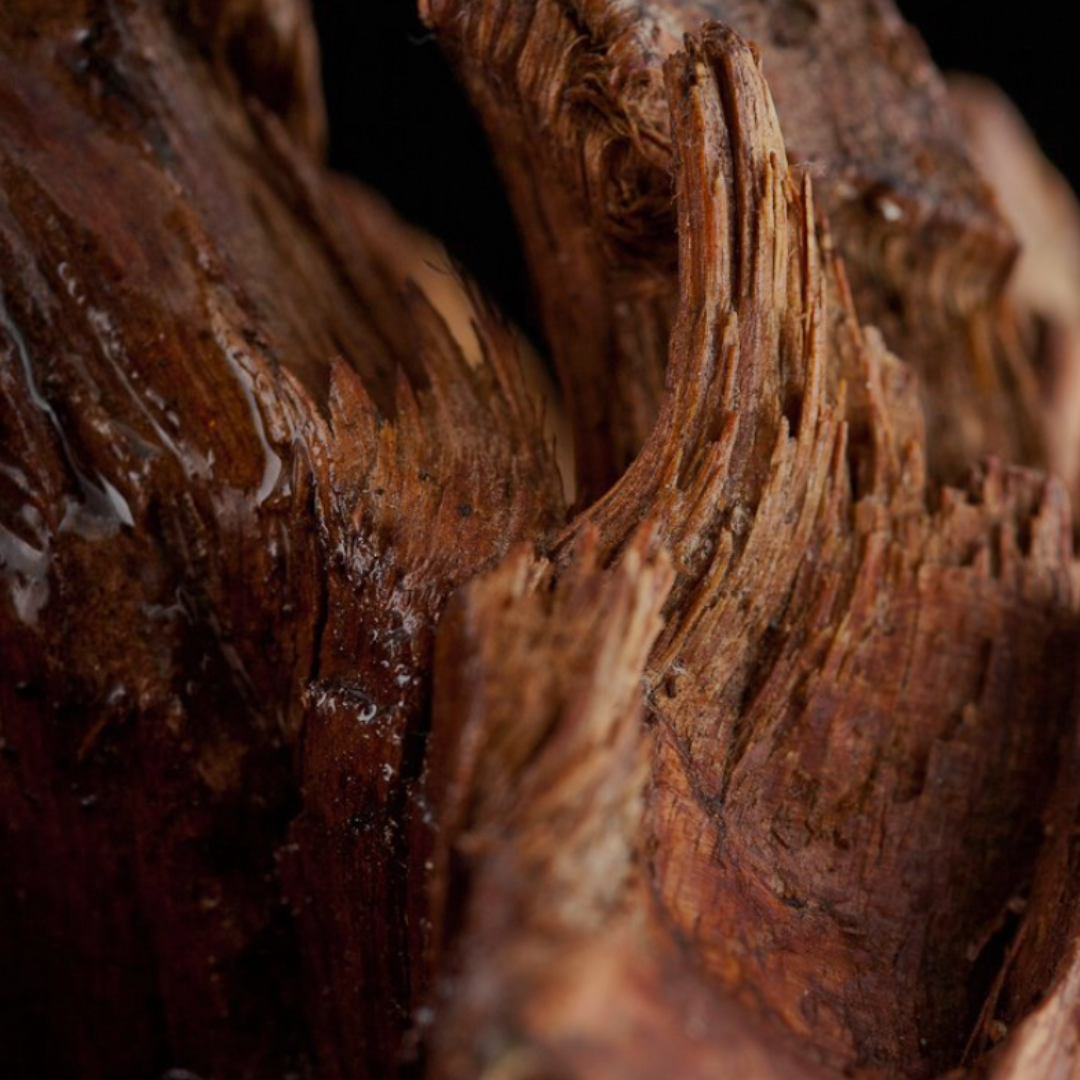 Close-up of a textured wooden surface with intricate patterns for the woods and resins fragrance category.
