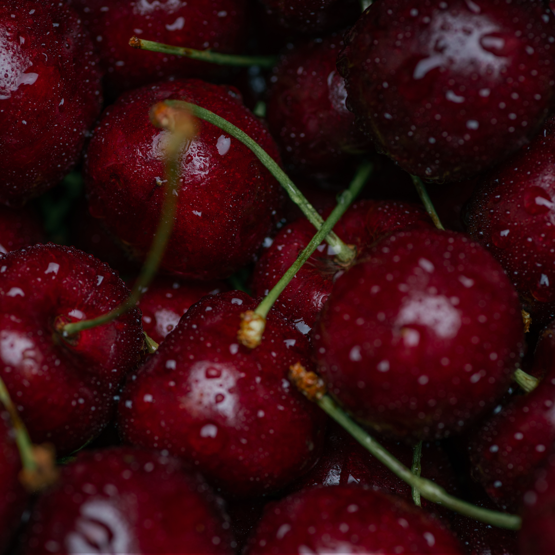 Close-up of red cherries with water droplets on a dark background for the sunlit fruits fragrance category.