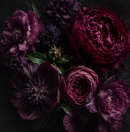 A close-up arrangement of dark, moody flowers including deep burgundy peonies, rich purple hollyhocks, and a small green bud on a very dark background for the dark florals and musks fragrance collection.