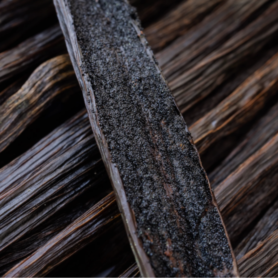 Close-up of a vanilla bean with a dark background for the gourmand indulgence fragrance category.